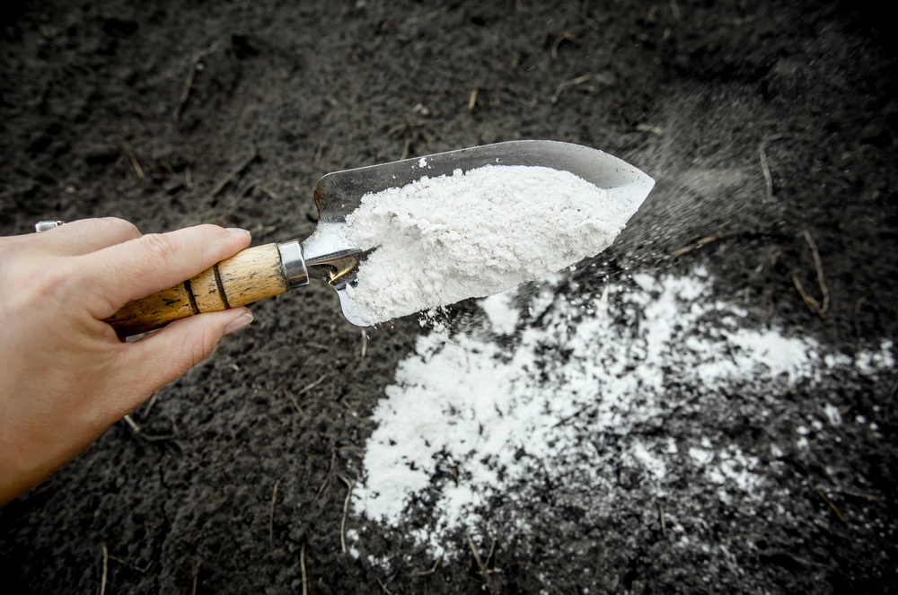  Dolomite Powder in Ahmedabad