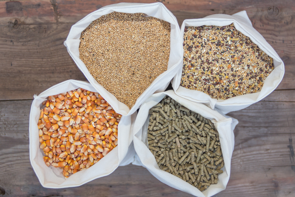 Calcium Carbonate for Animal Feed Supplements